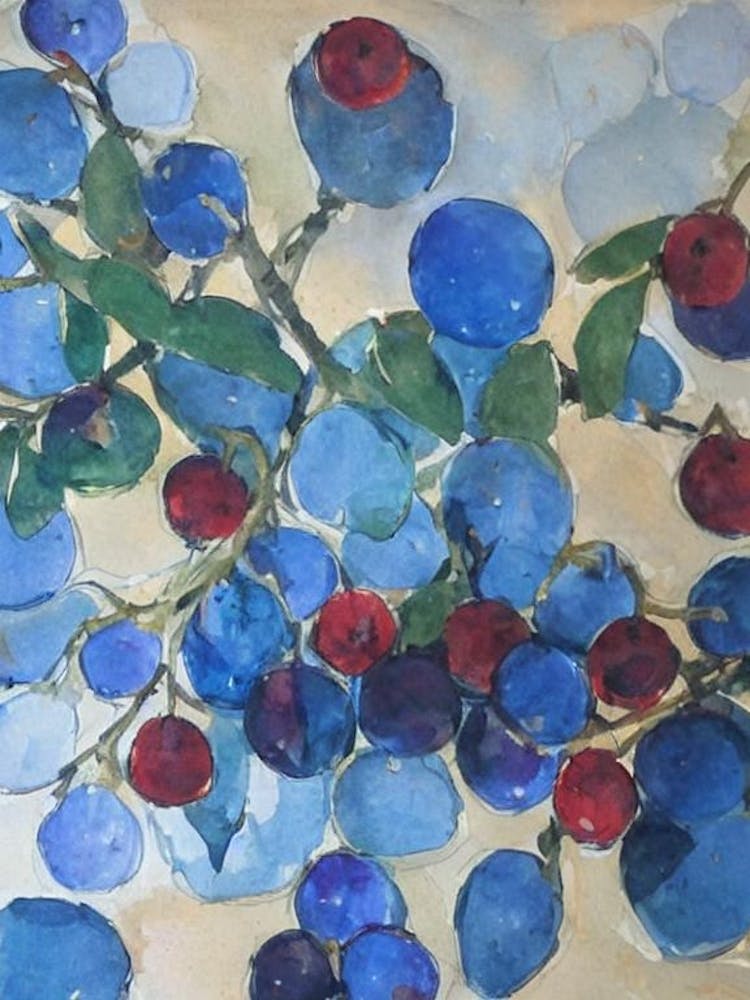 Damson 2 Classic Fruit