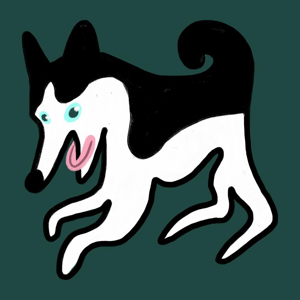 Glücklicher Husky