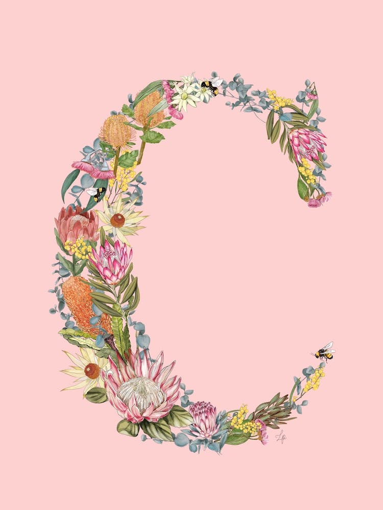 C Pink Alphabet Letter