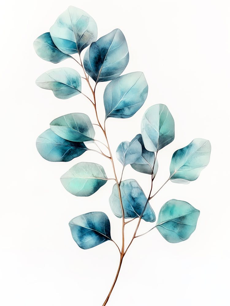 Eucalyptus Branch nature flora art