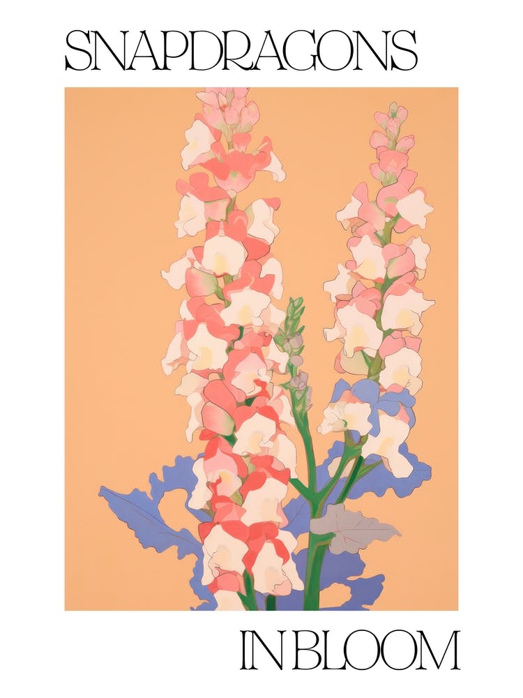 Snapdragons In Bloom Flowers Bold Illustration 1