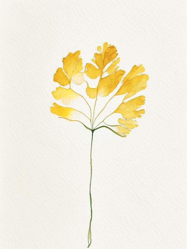 Marigold Leaf Minimalist Watercolour 1