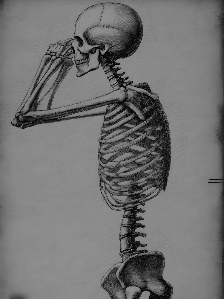 Skeleton 1