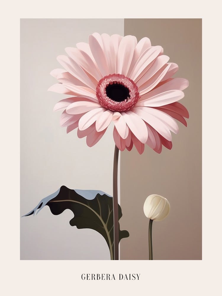 Floral Illustration Gerbera Daisy Poster