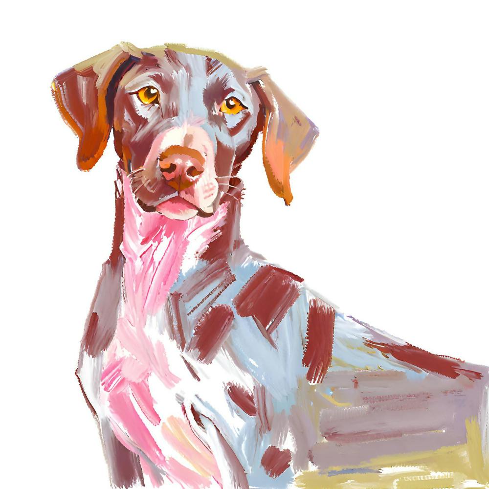 German Shorthaired Pointer 02