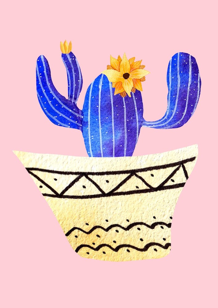 Golden Pots And Galactic Cacti