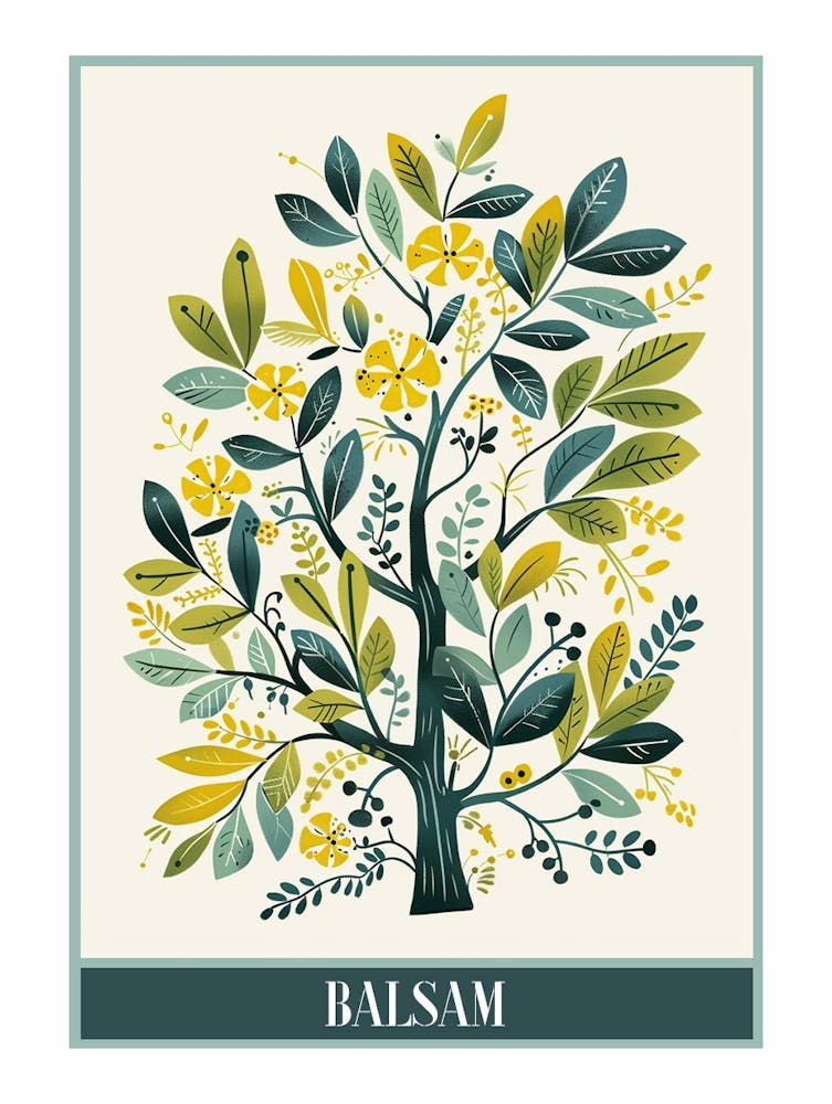 Balsam Tree Flat Illustration 3 Poster