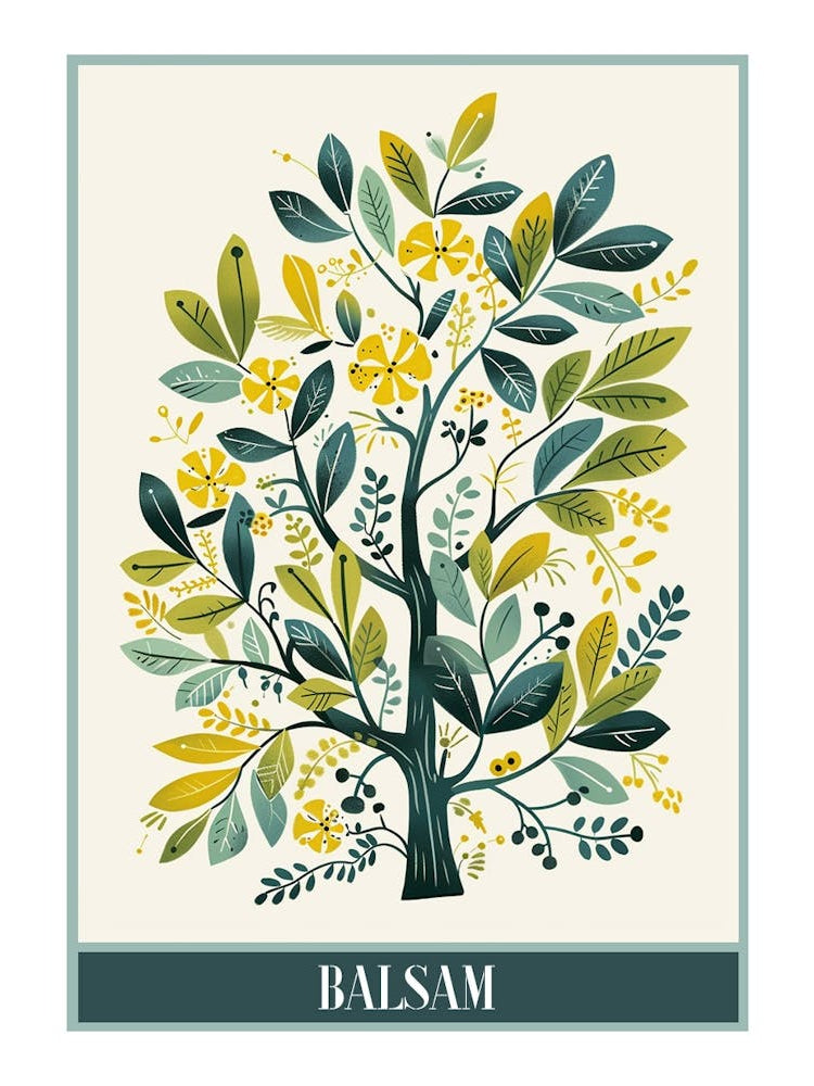 Balsam Tree Flat Illustration 3 Poster
