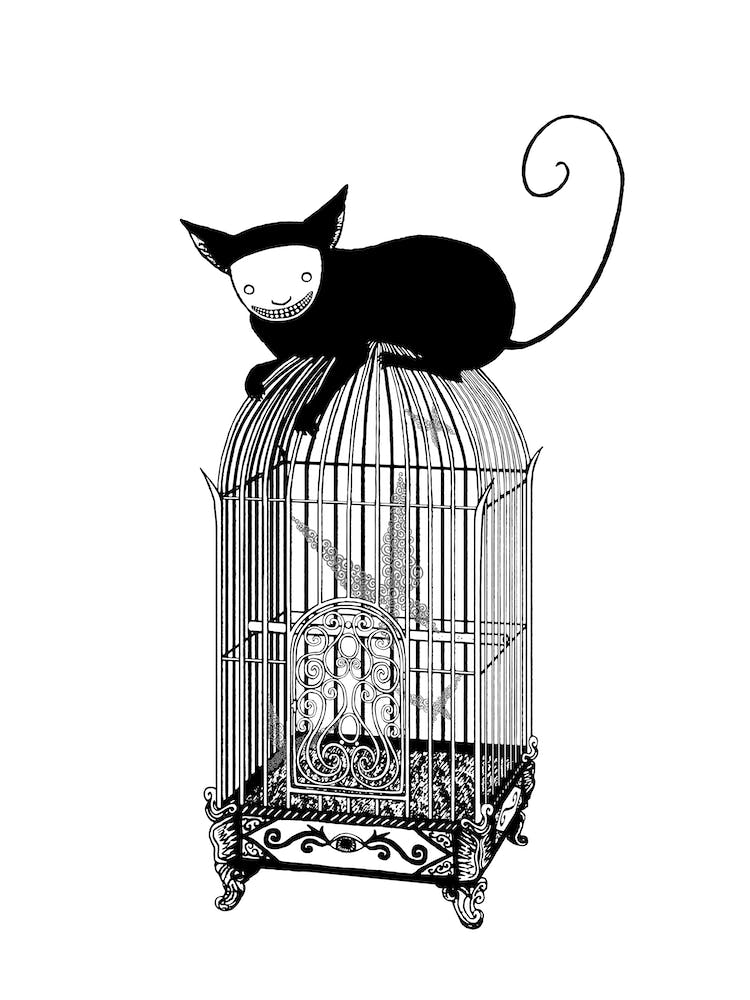 Cages