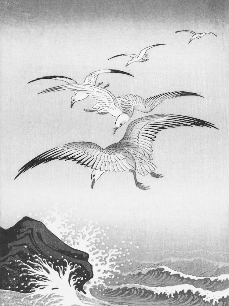 Seagulls Flying Over The Ocean