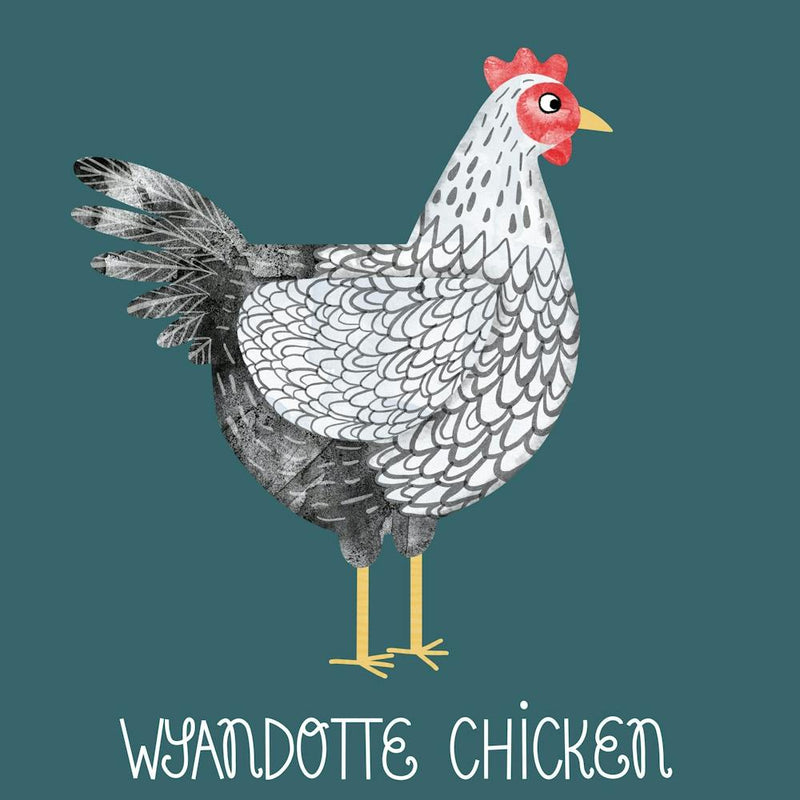 Wyandotte Chicken