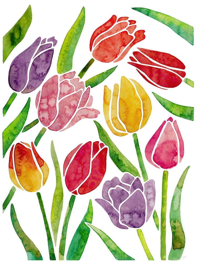 Tulips