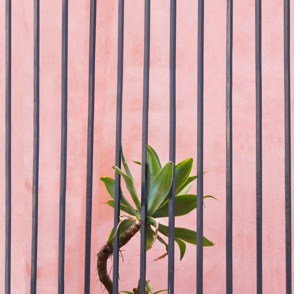 The Great Escape Square