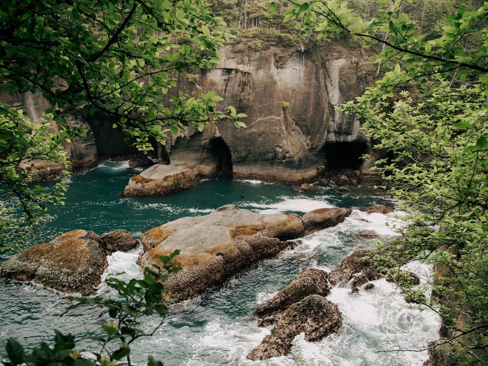Cape Flattery