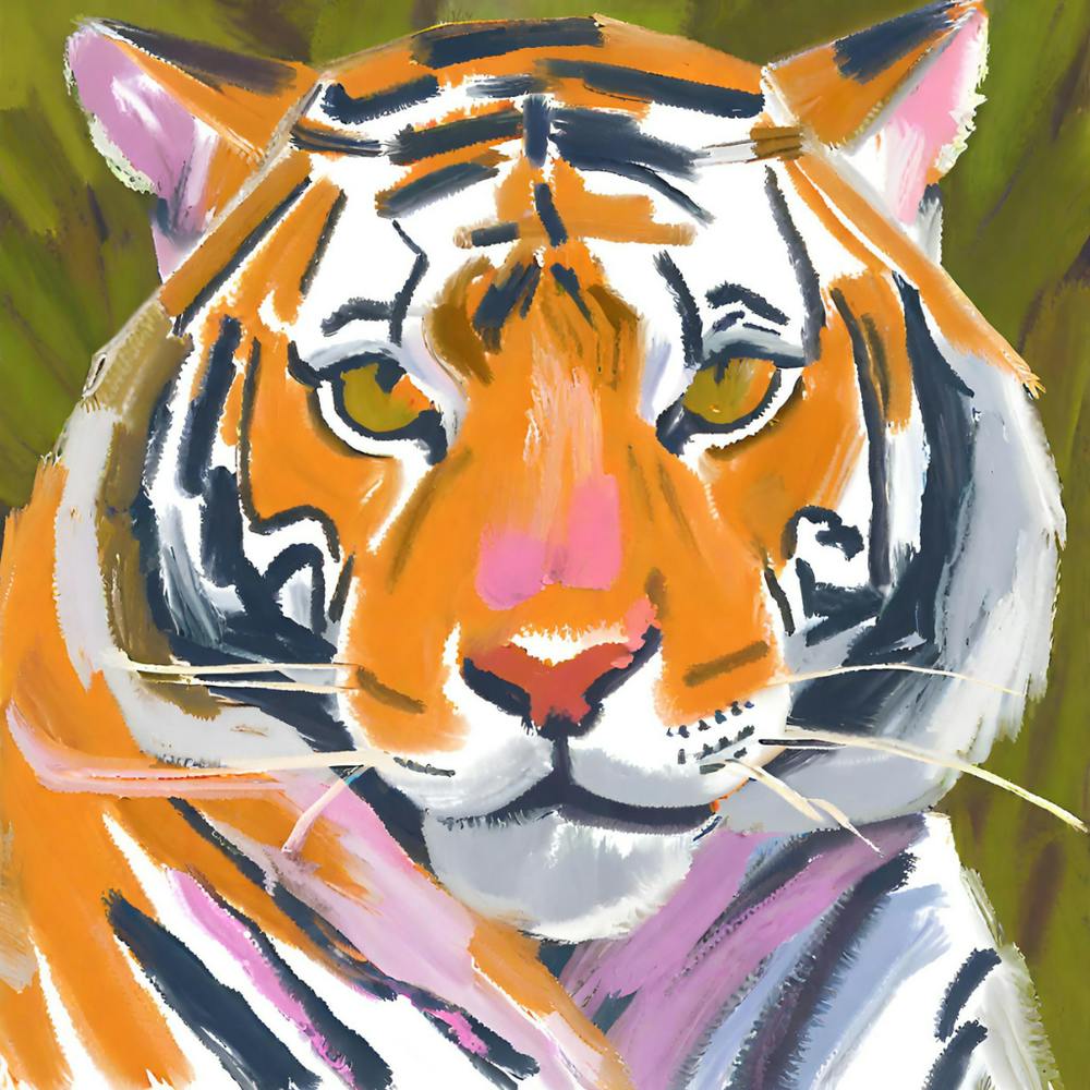 Tigre du Bengale 02