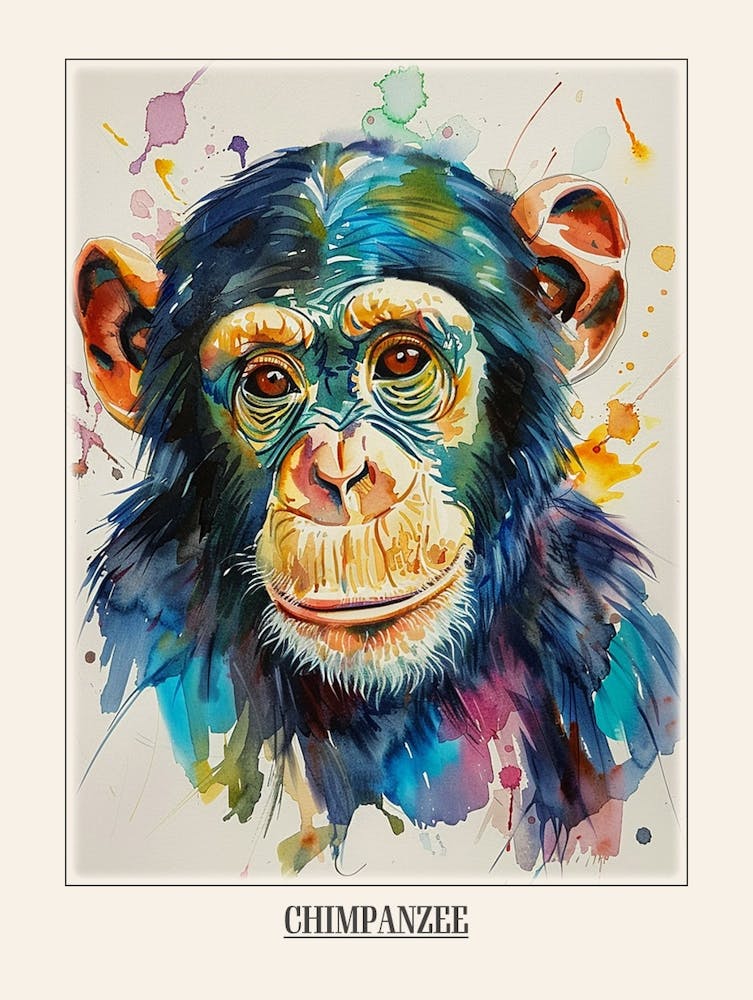 Chimpanzee Colourful Watercolour 3 Poster