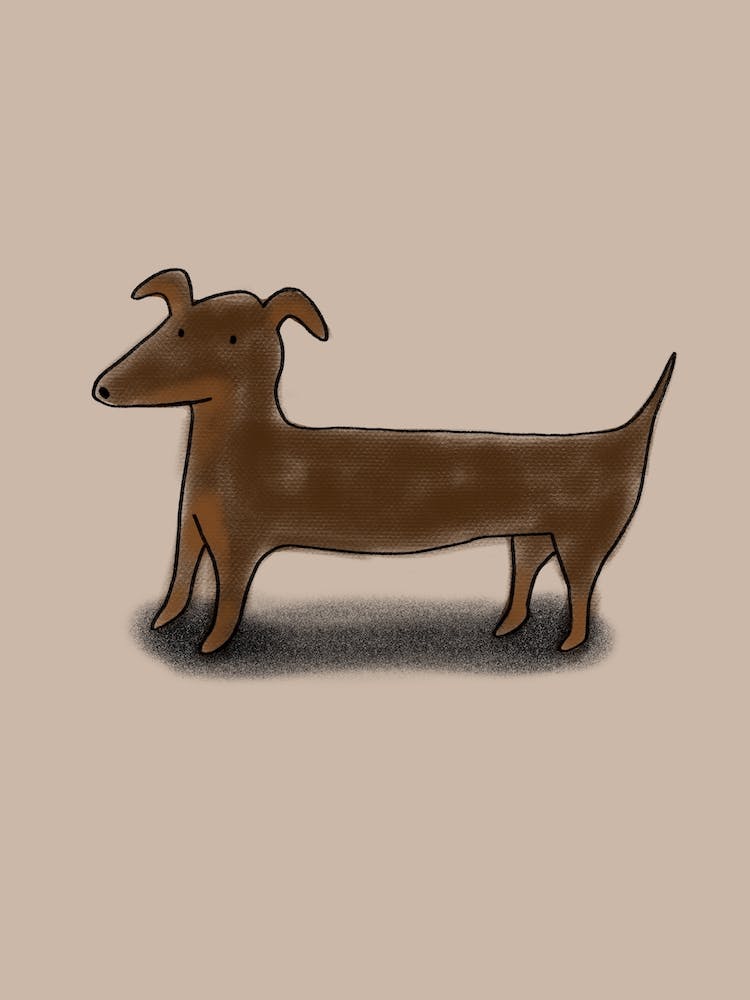Daschund