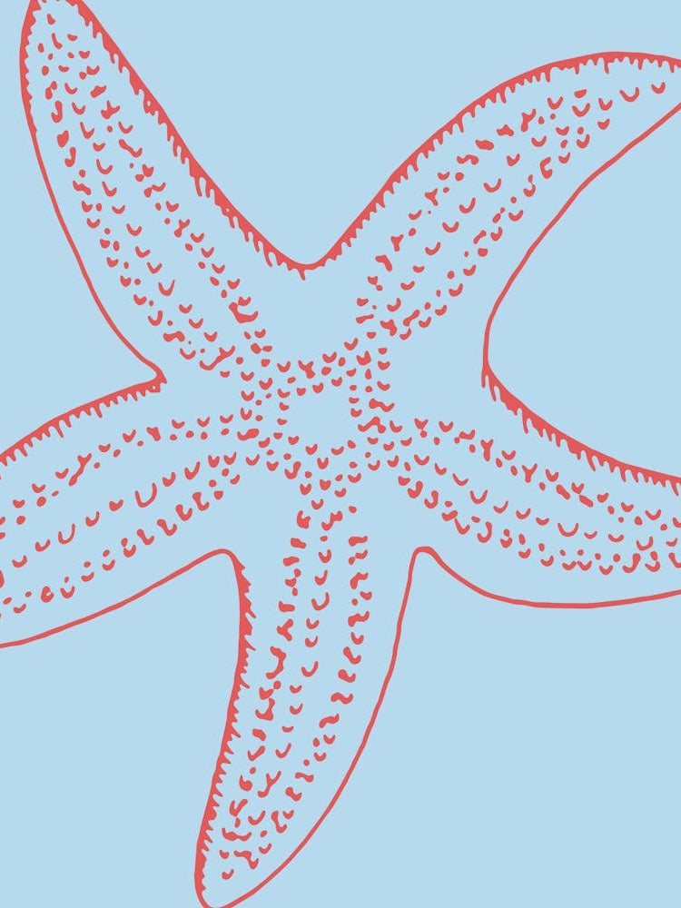 Starfish