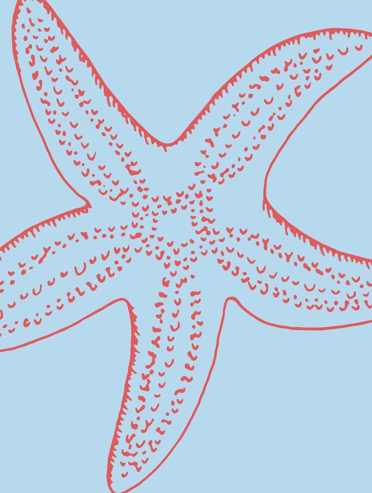 Starfish