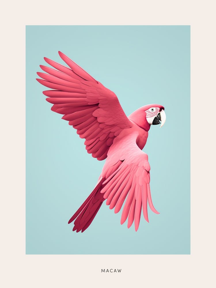Minimalist Macaw 1 Bird Poster