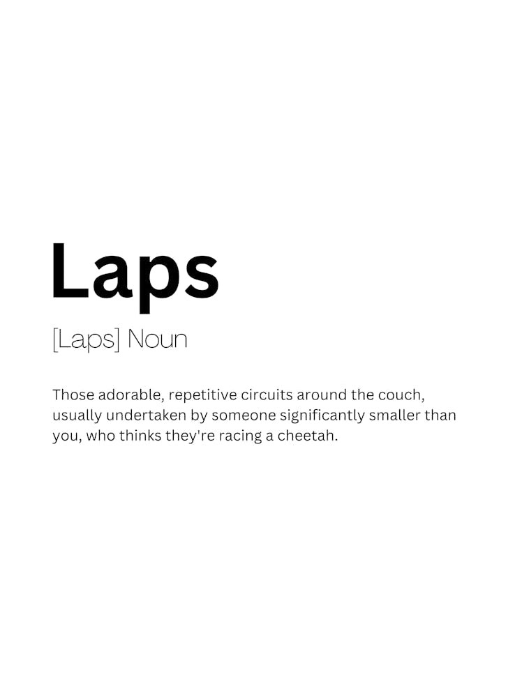 Laps Definition Meaning