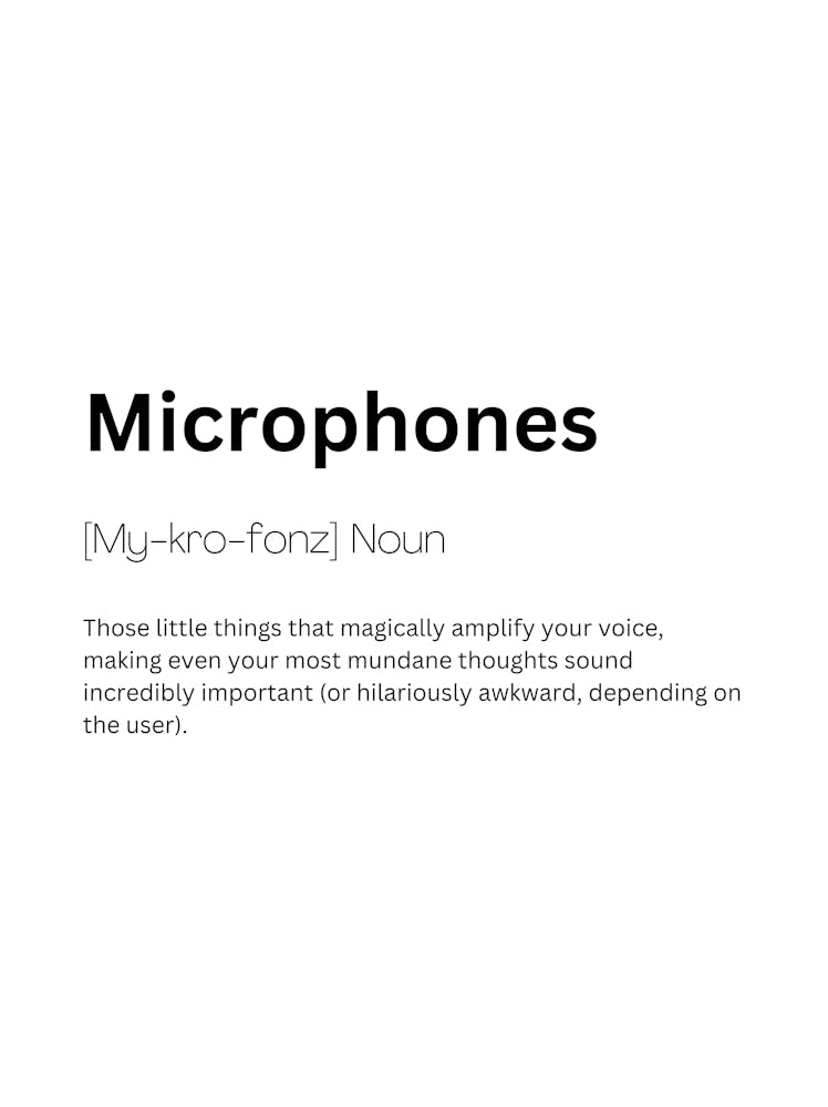 Microphones Definition Meaning