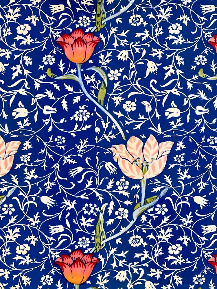 Tulips 6