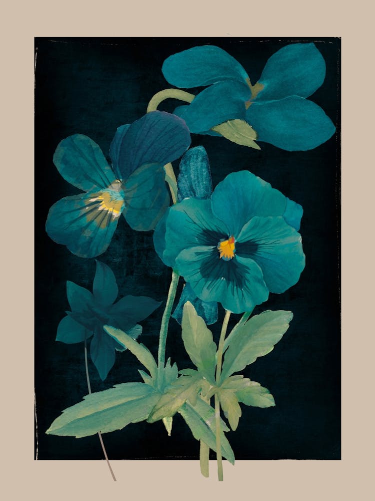 Garden Flowers