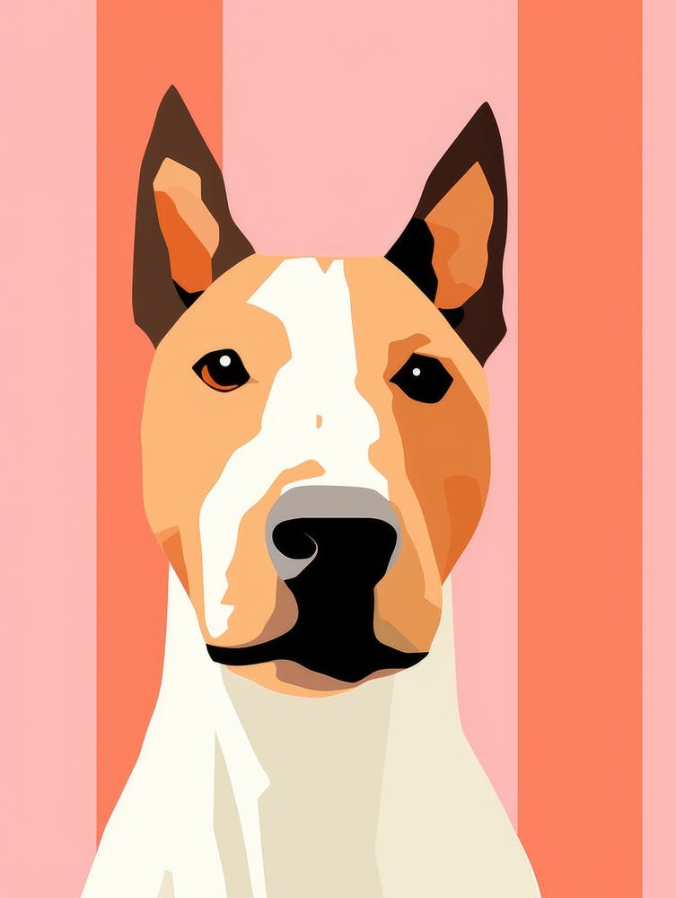 Bull Terrier 3