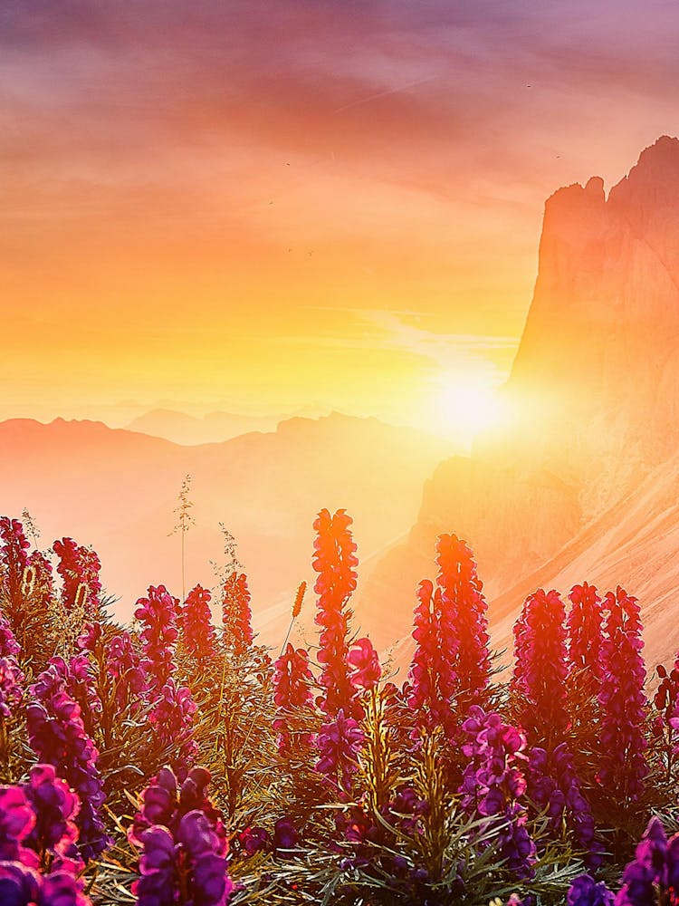 Sunset In The Mountains 2