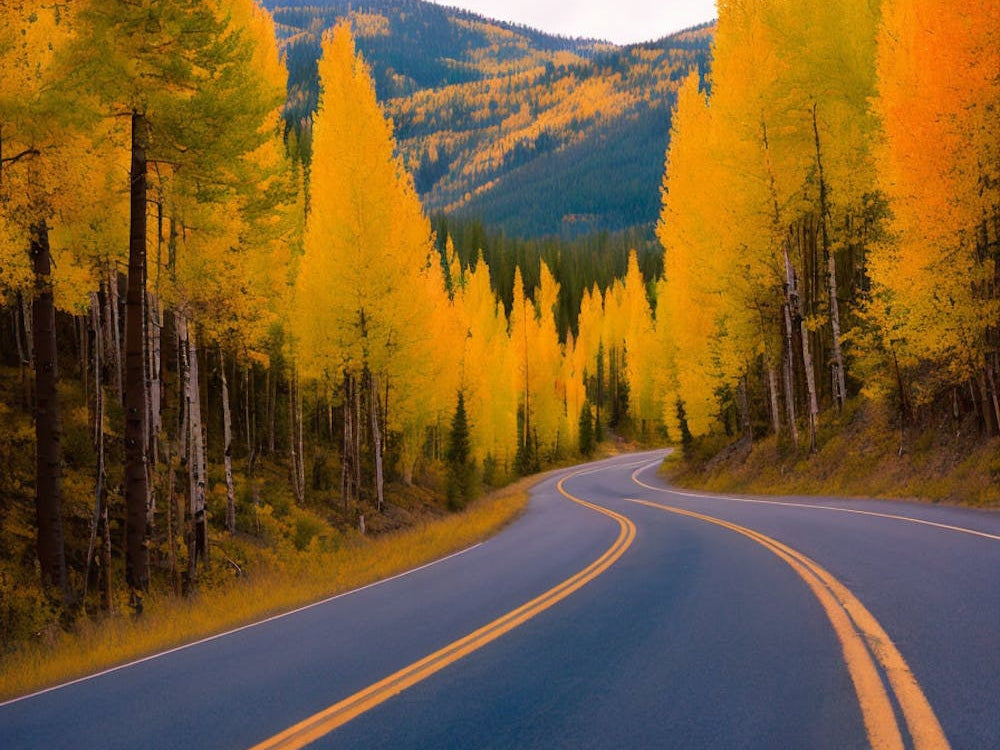 Autumn Road In Colorado