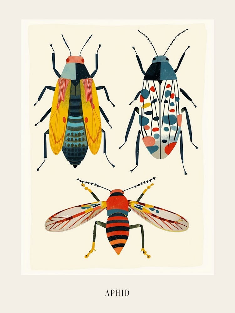 Colourful Insect Illustration Aphid 2 Poster