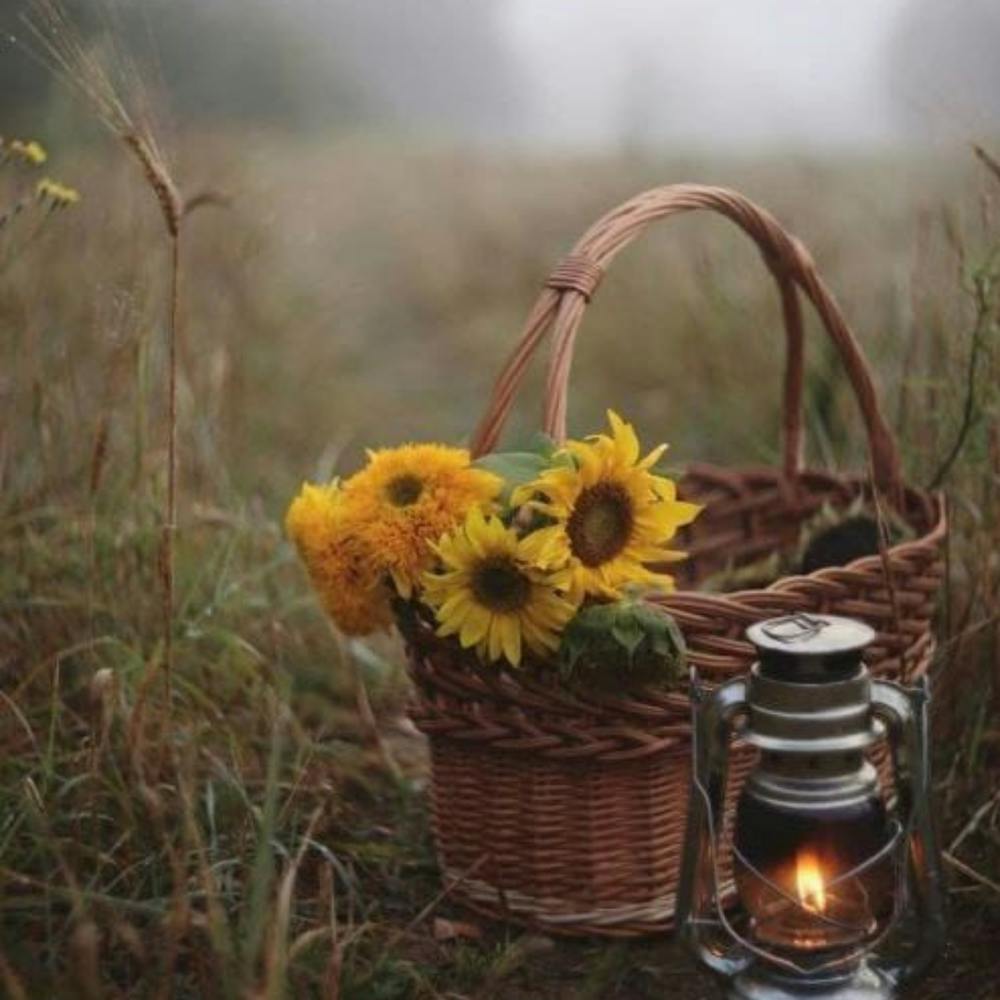 6 20240110 134301 ٠٠٠٥