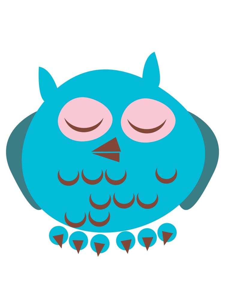 Sleepy Owl