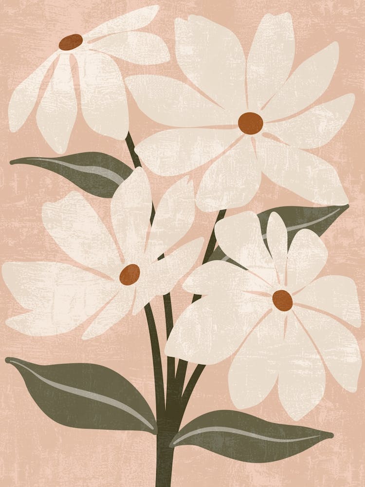 White Daisies 1
