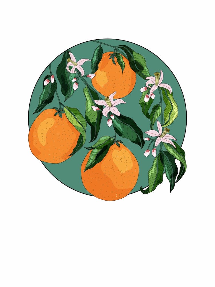 Circular Mofit Orange Blossom Flowers