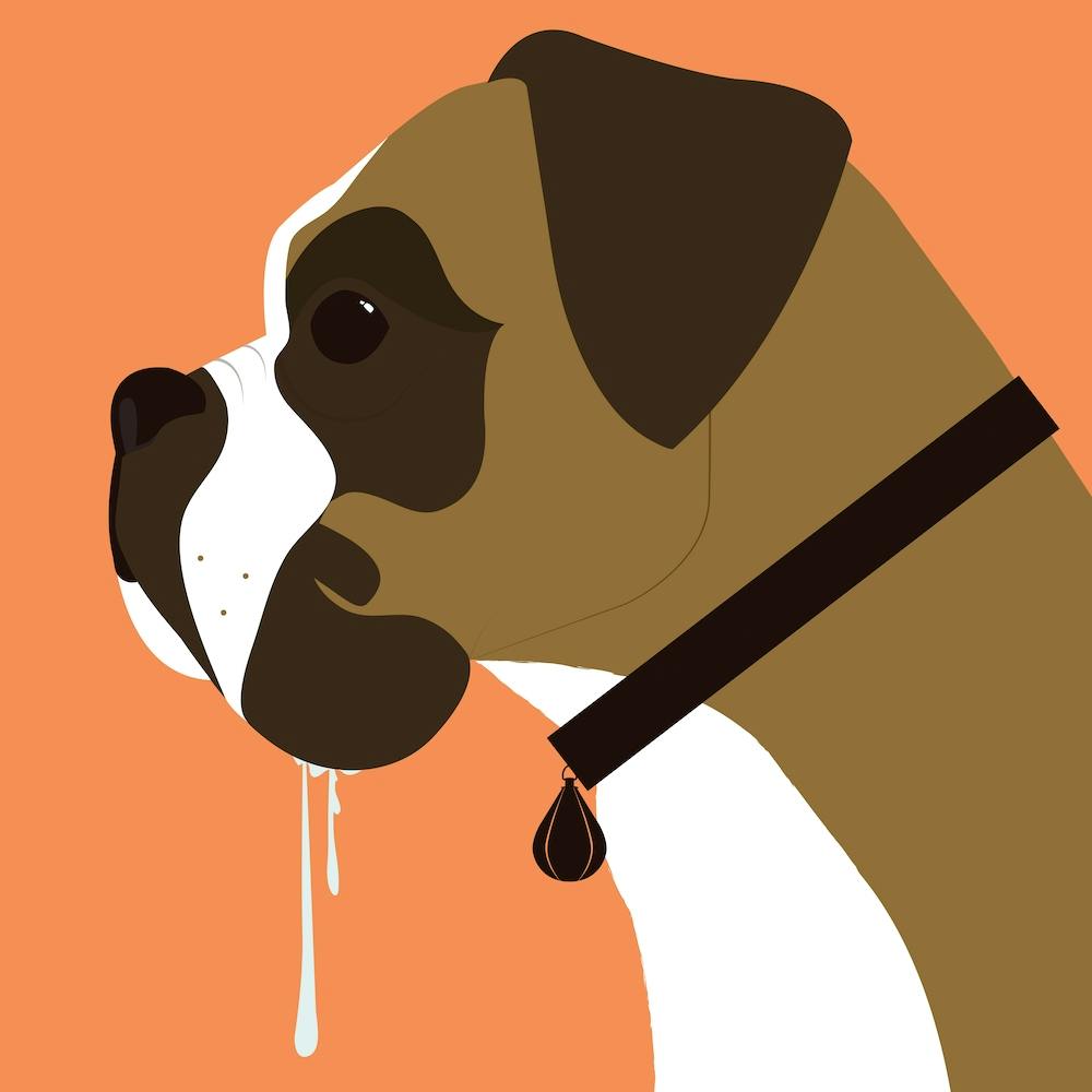Boxer Dog Square
