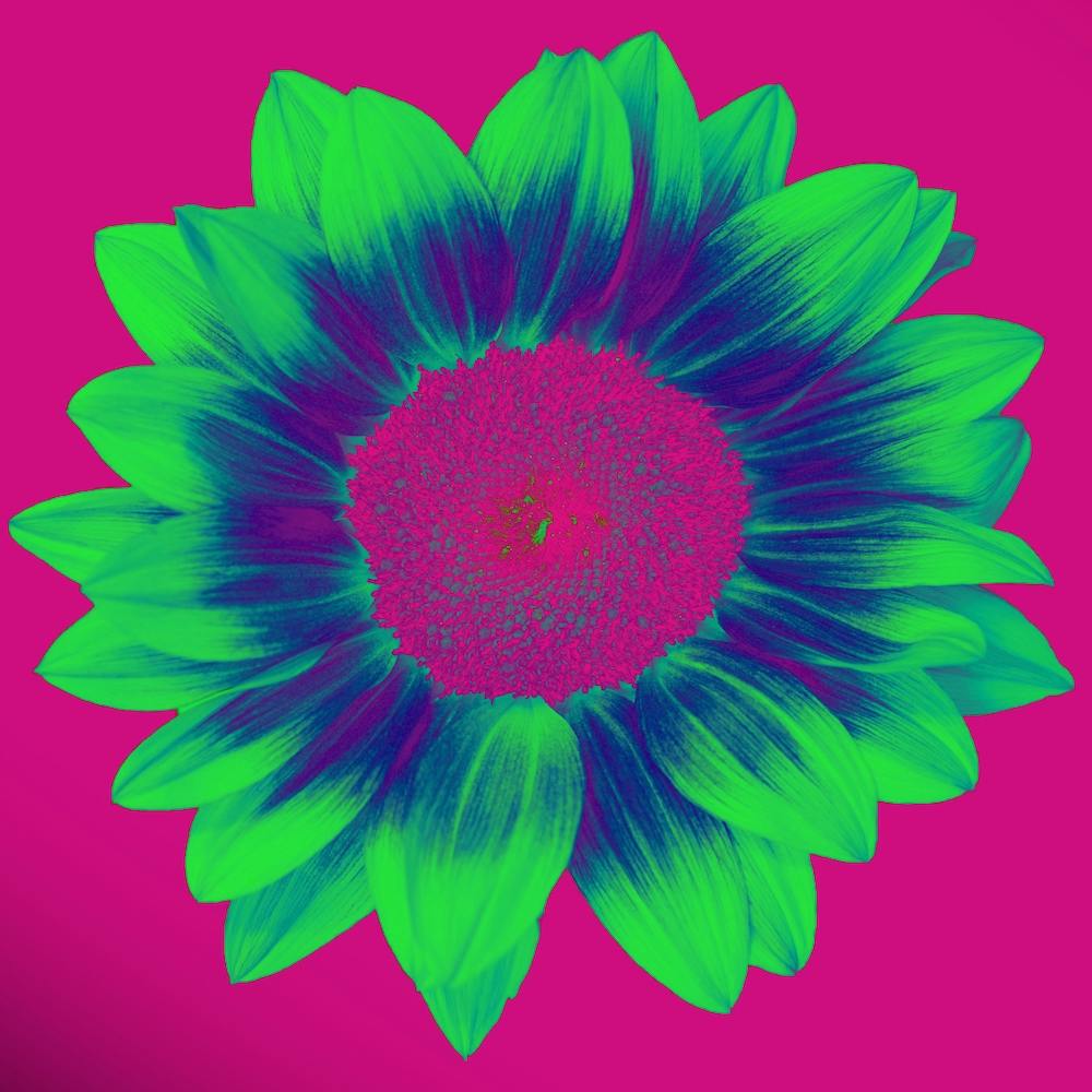 Neon Sunflower Square