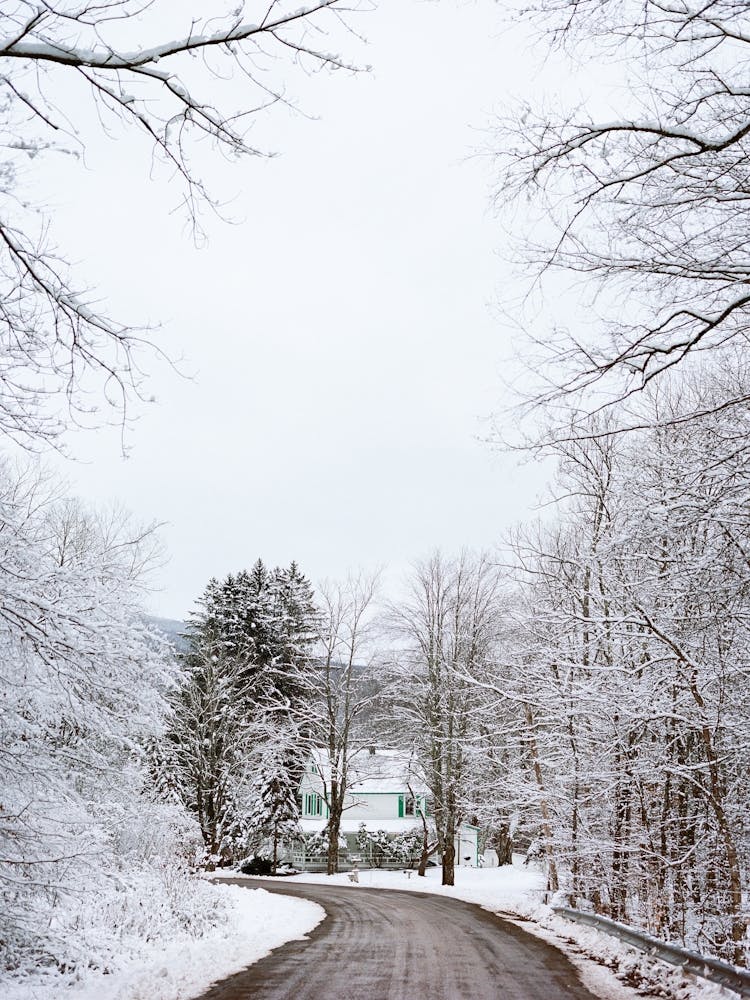 Upstate New York Snow IV on Film
