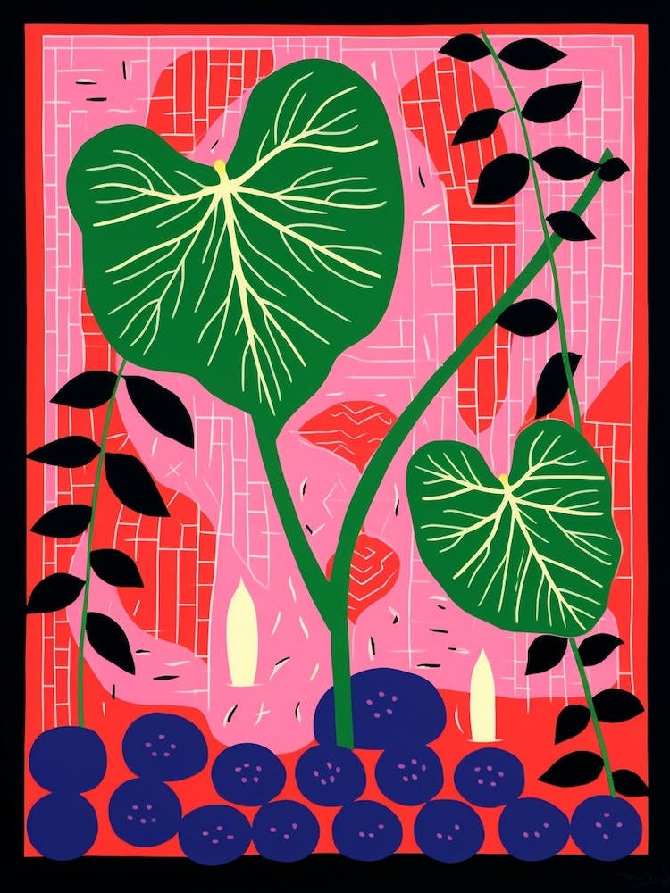 Pink And Red Plant Illustration Monstera Thai Constellation 3