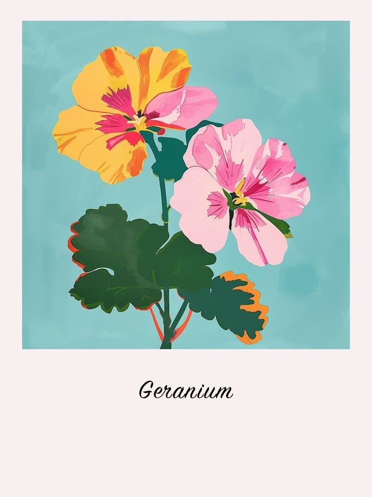 Geranium 1 Square Flower Illustration Poster