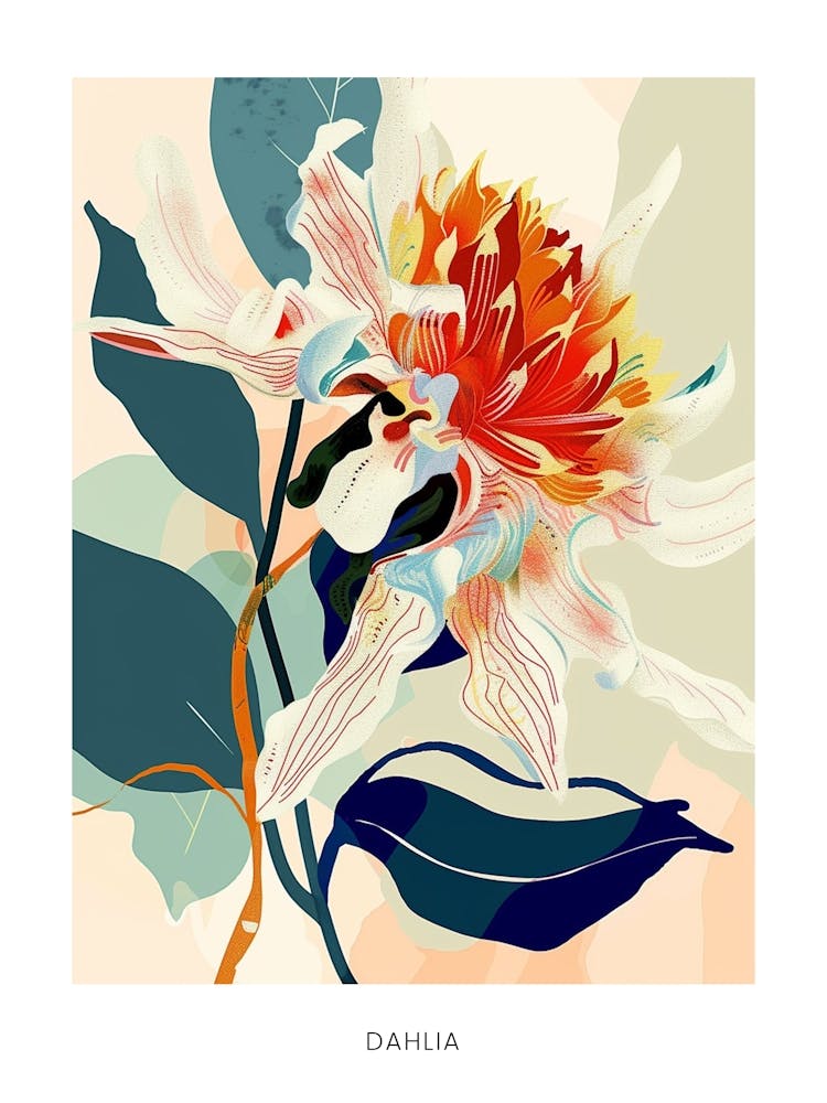 Colourful Flower Illustration Poster Dahlia 2