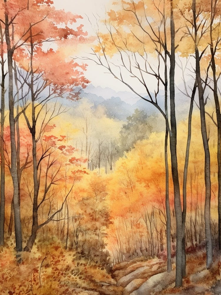 Autumn Forest Landscape The Shawnee National Forest 1