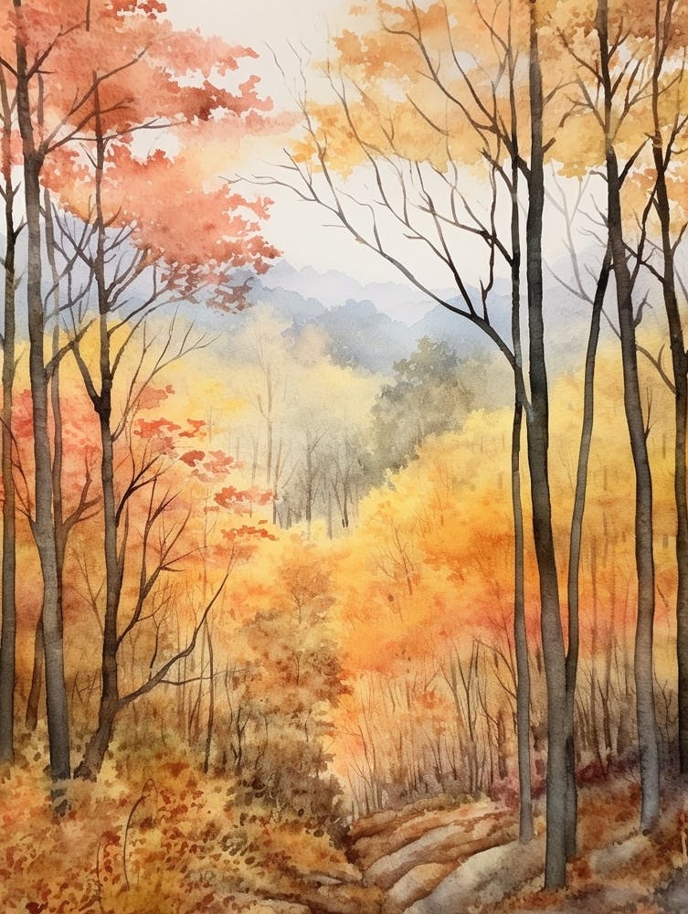 Autumn Forest Landscape The Shawnee National Forest 1