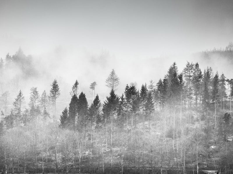 Winter Windermere
