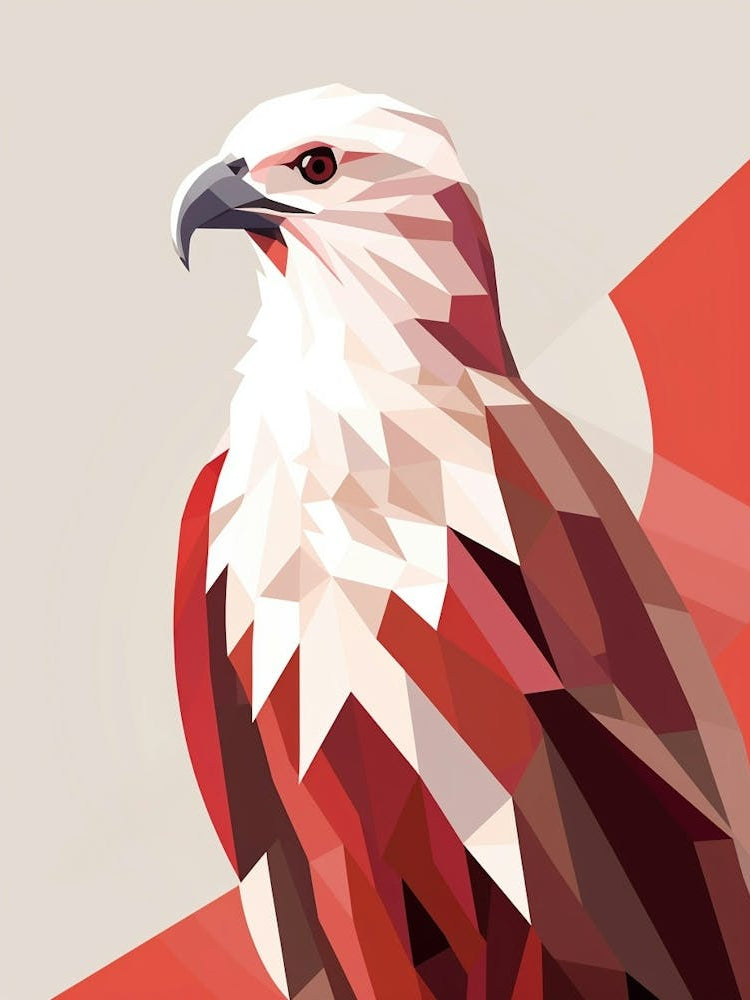 Minimalist Hawk Illustration