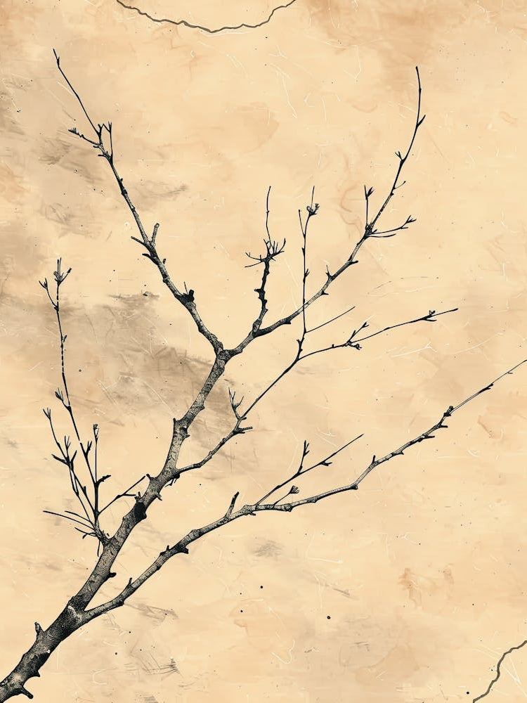 Auckland Flower Market Boho Minimalist Style