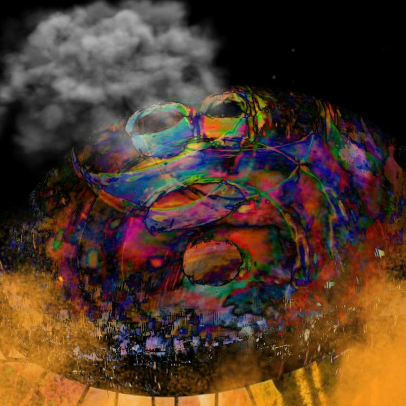Symbiosis
