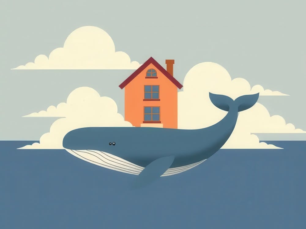 House On A Whale