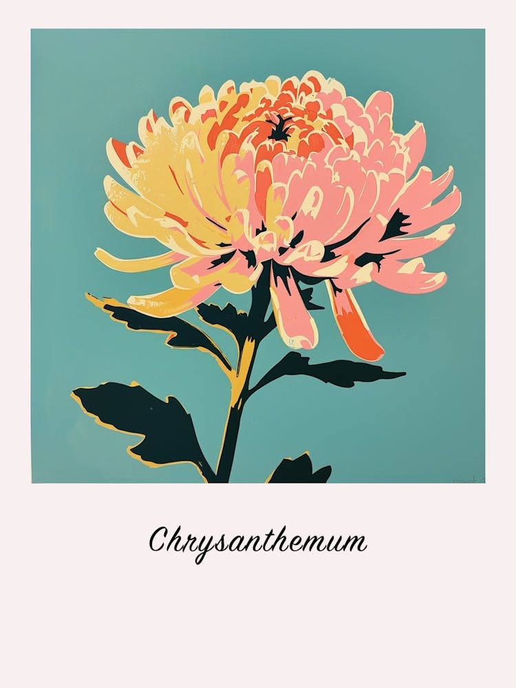 Chrysanthemum 3 Square Flower Illustration Poster